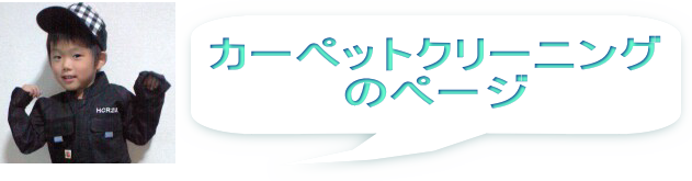 �J�[�y�b�g�N���[�j���O�@�����@���