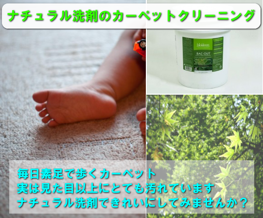 �J�[�y�b�g�N���[�j���O�@�����@���