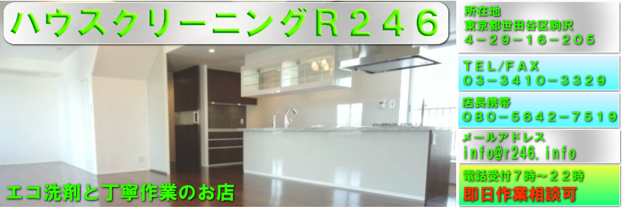 �n�E�X�N���[�j���O ���� ���@