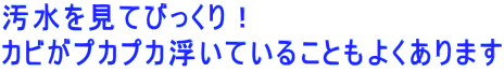 汚水を見てびっくり! カビがプカプカ浮いていることもよくあります